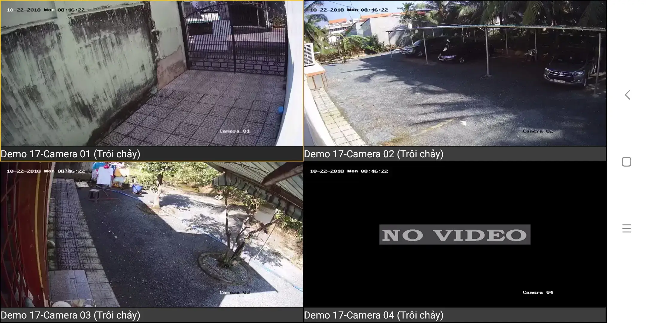 anh demo